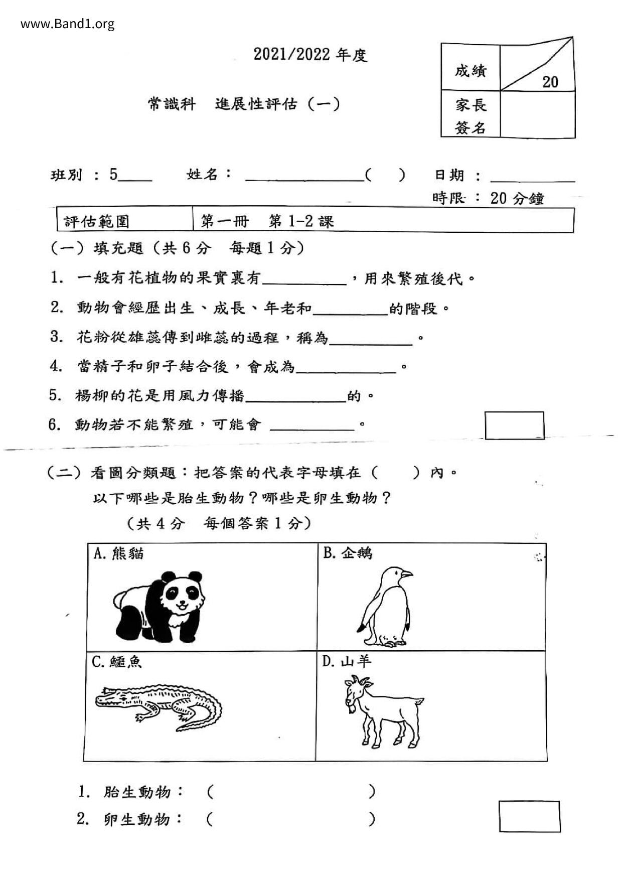 P5GS試卷