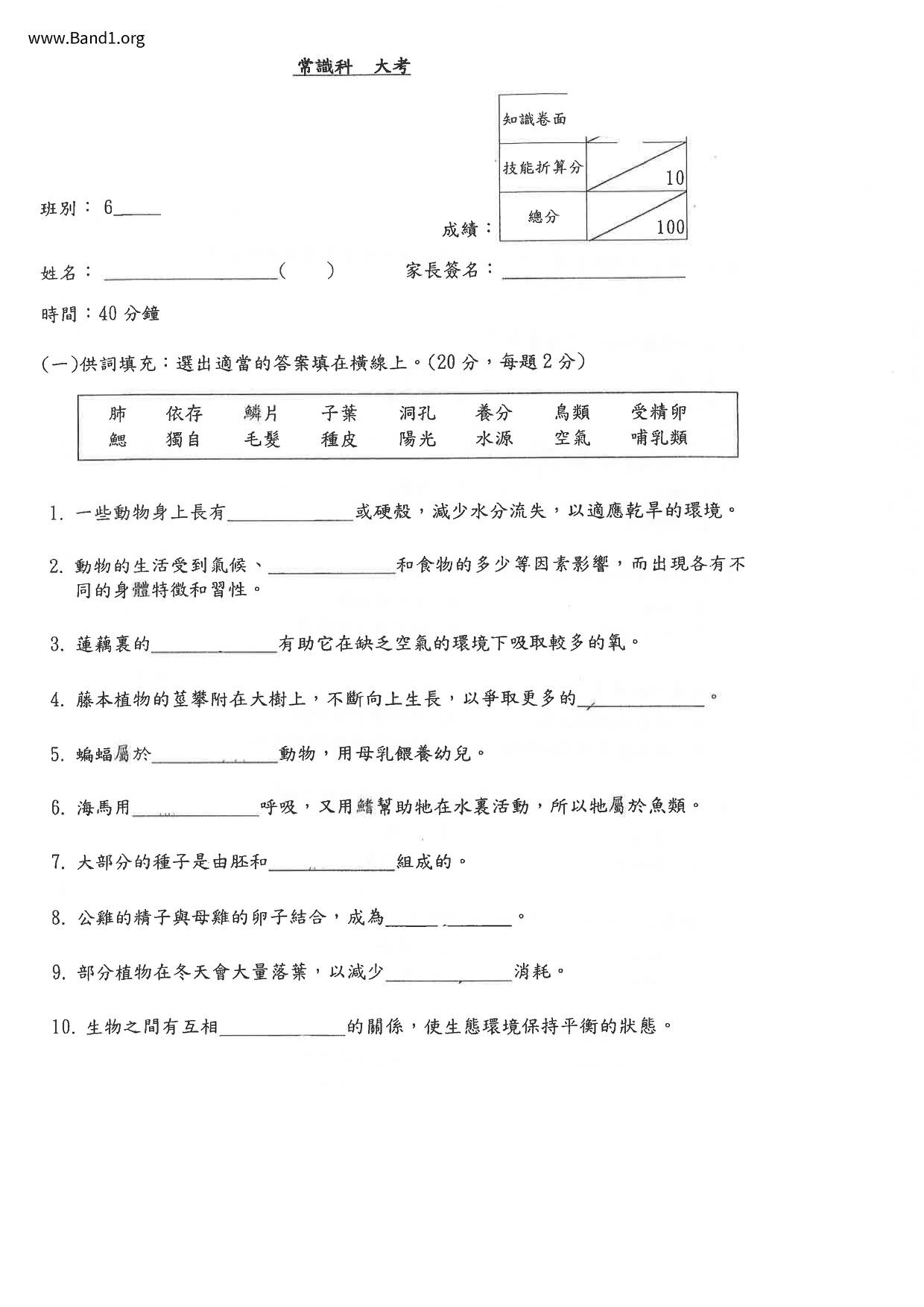 P6GS試卷