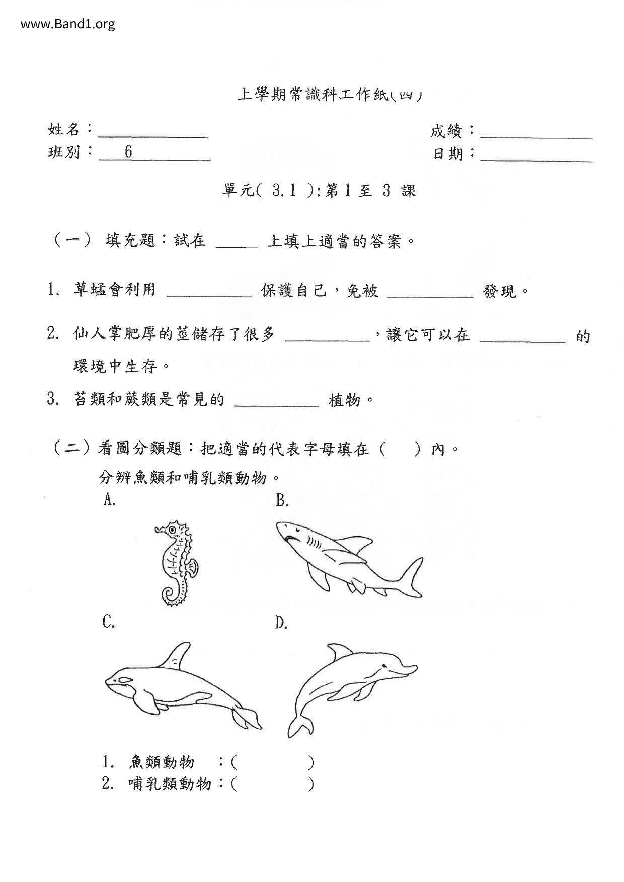 P6GS試卷