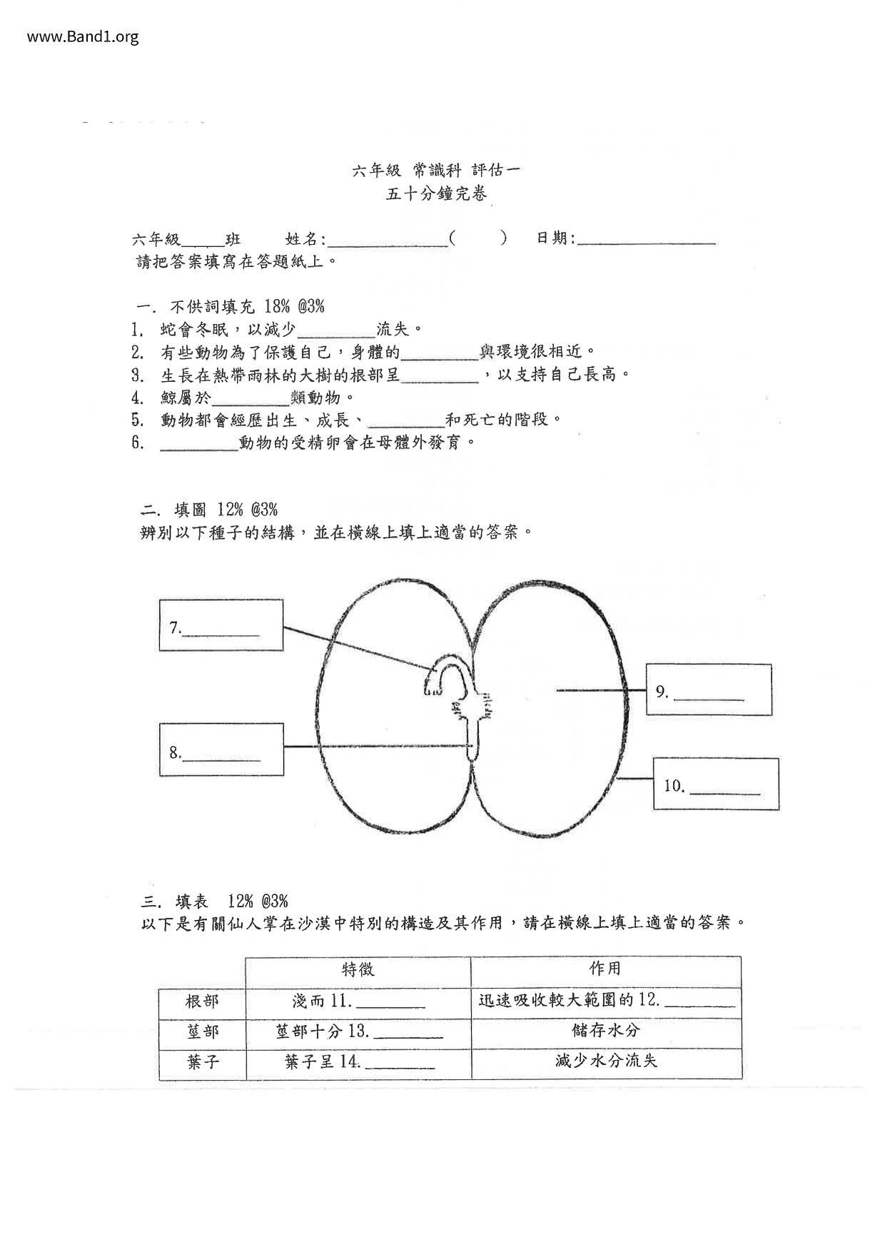 P6GS試卷