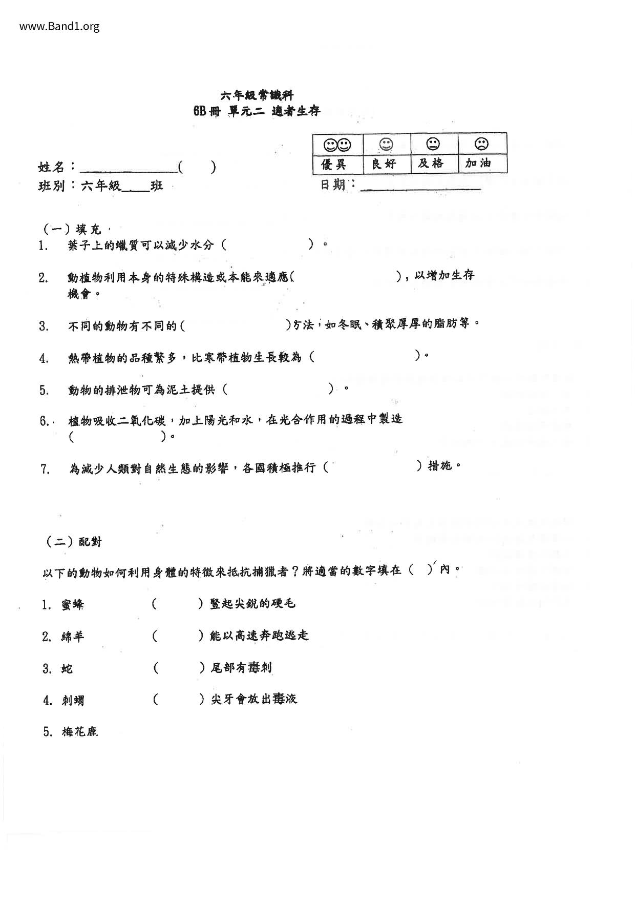 P6GS試卷