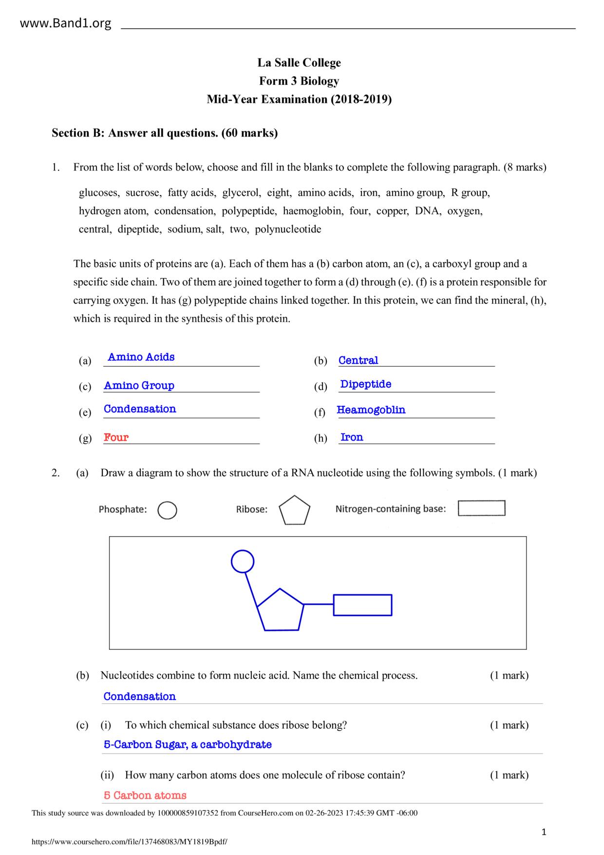 F3Biology試卷