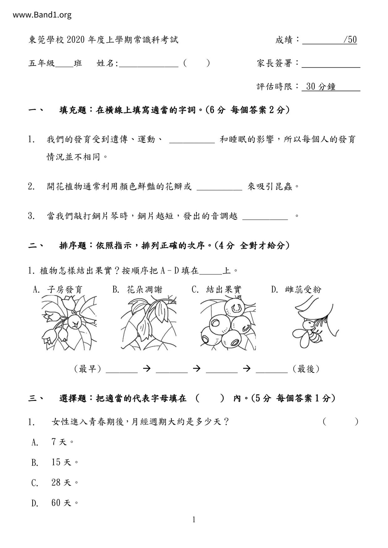 P5GS試卷