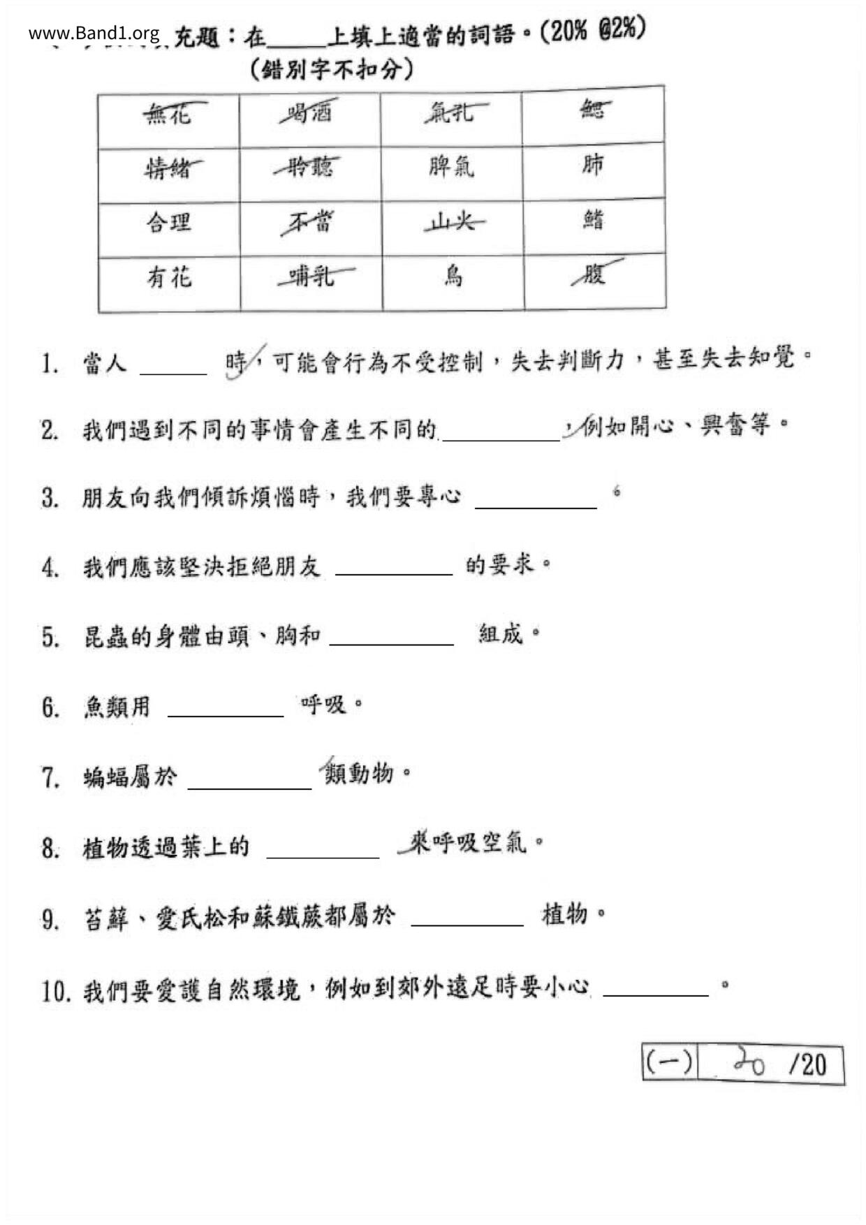 P3GS試卷