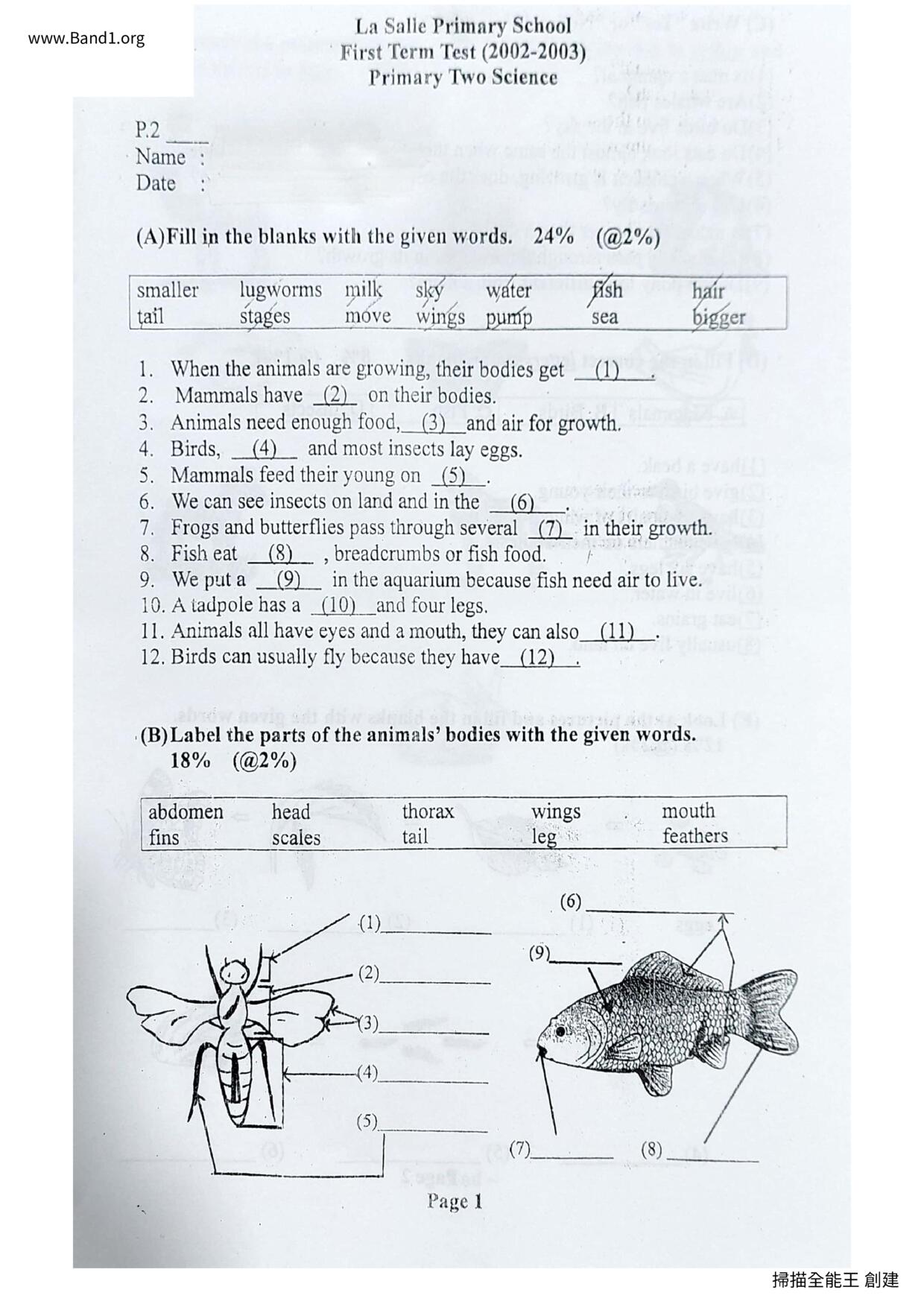 P2Science試卷