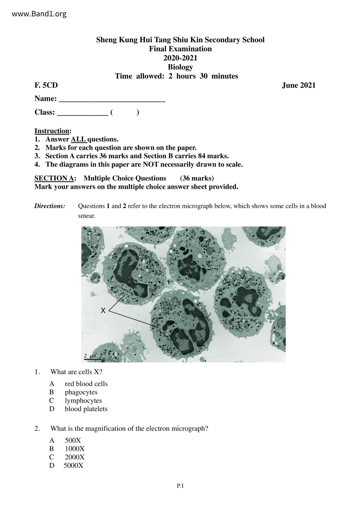 F5Biology試卷