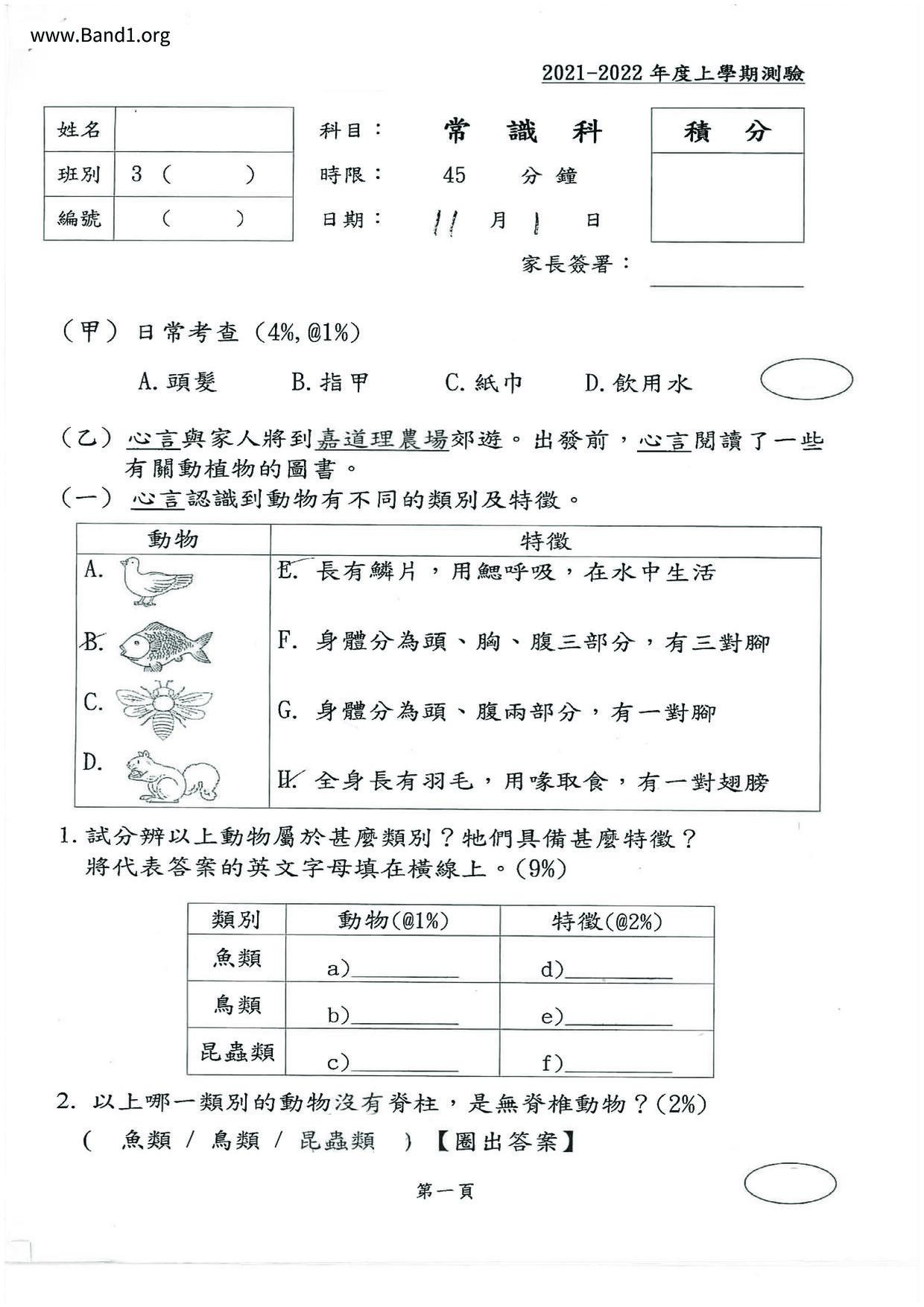 P3GS試卷