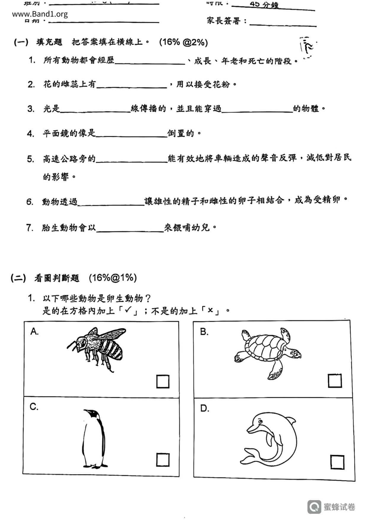 P5GS試卷