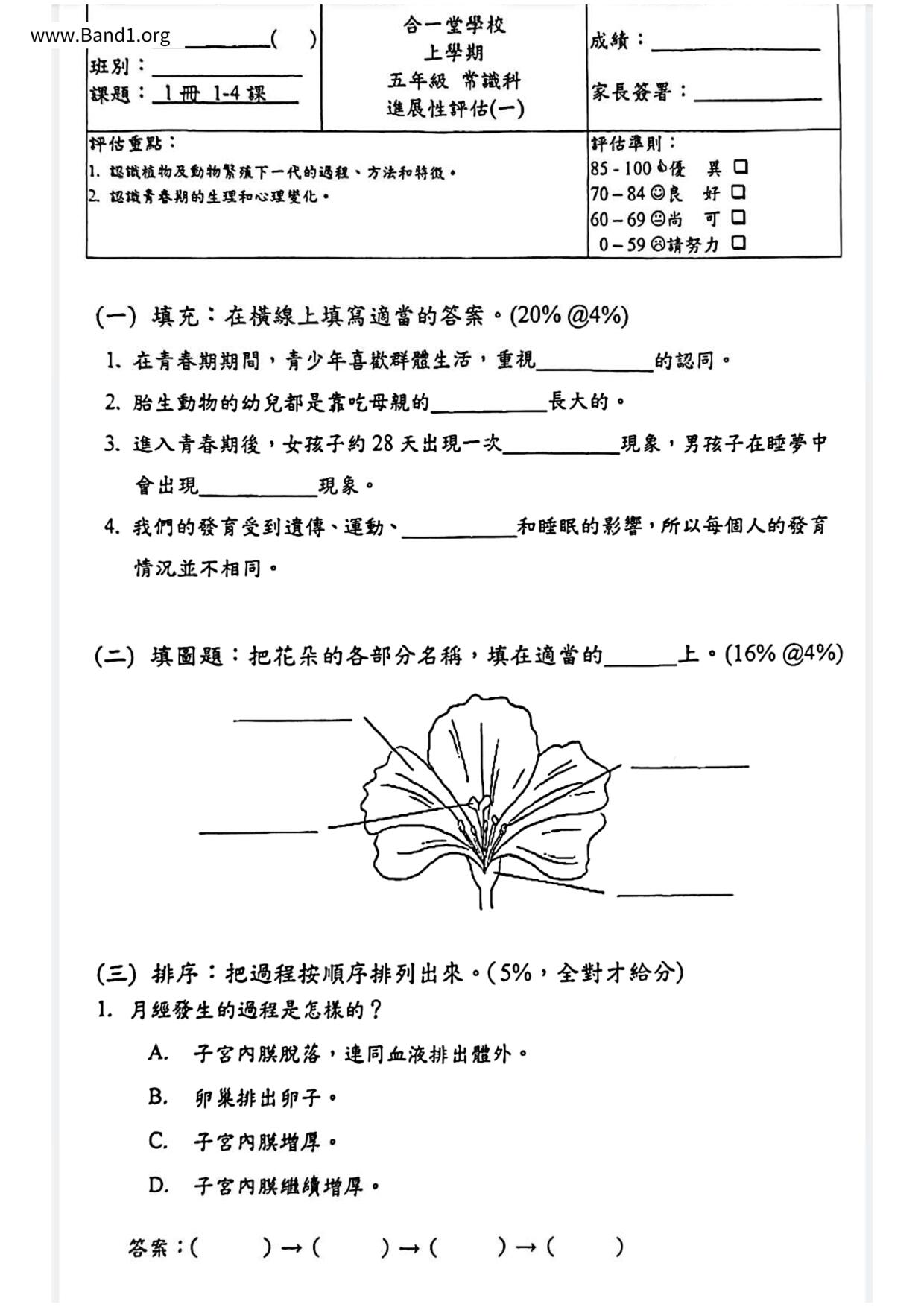 P5GS試卷