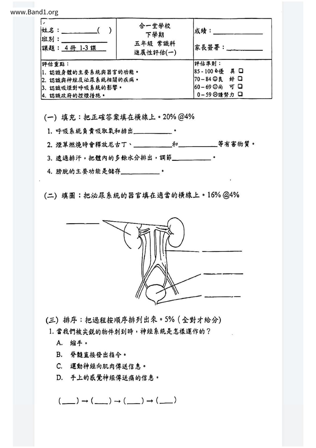 P5GS試卷