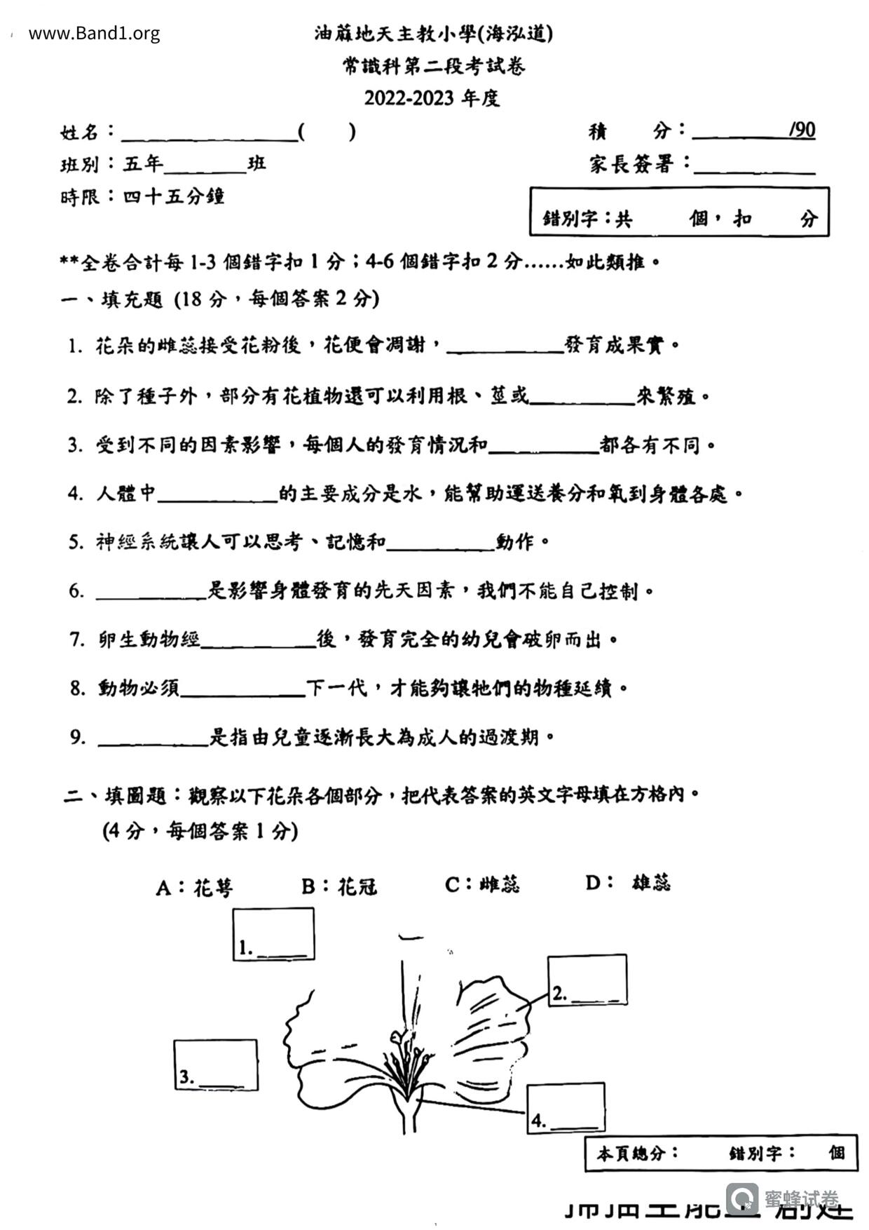 P5GS試卷